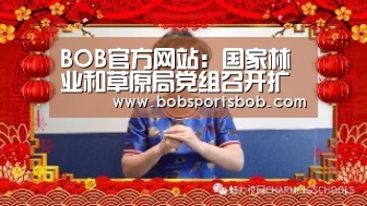 BOB体育平台