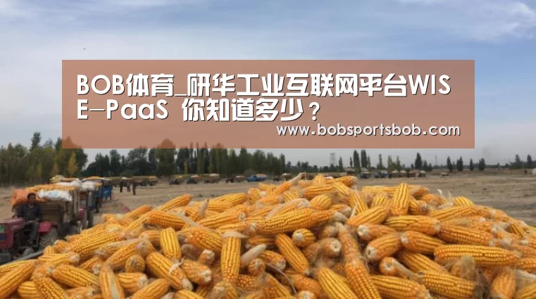 BOB体育_研华工业互联网平台WISE-PaaS 你知道多少？(图1)
