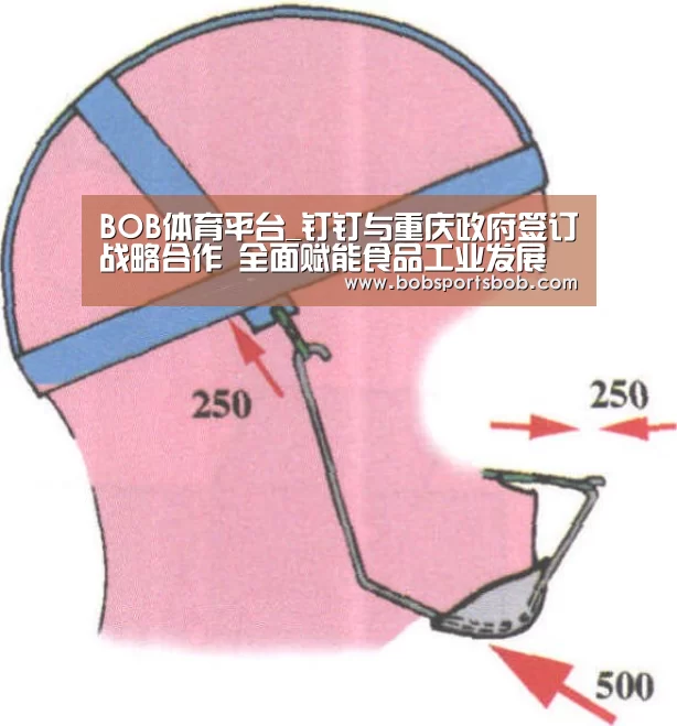 BOB官方网站