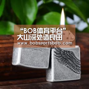 BOB体育