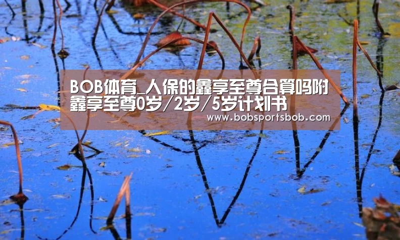 BOB体育_人保的鑫享至尊合算吗附鑫享至尊0岁/2岁/5岁计划书(图4)