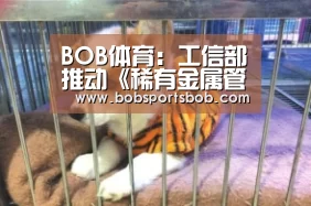 BOB体育：工信部推动《稀有金属管理条例》尽快出台_政策法规_新闻_矿道网(图4)
